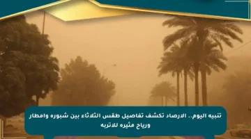 تنبيه اليوم.. الأرصاد تكشف تفاصيل طقس الثلاثاء بين شبورة وأمطار ورياح مثيرة للأتربة